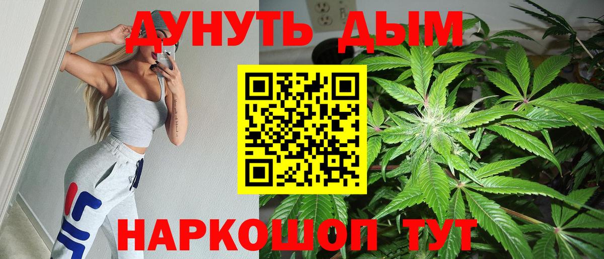 Канабис конопля Камышлов